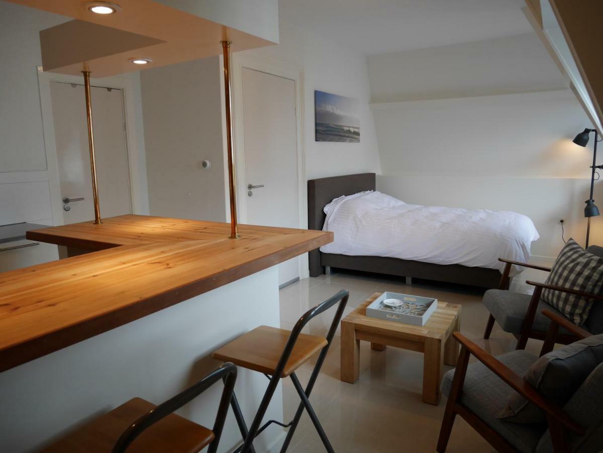 Casa Del Cisne Apart otel Zandvoort Dış mekan fotoğraf